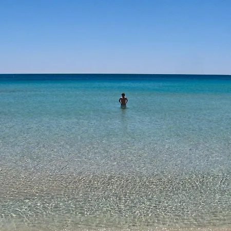 Affitto Monolocale Vicino Mare E Servizi M608